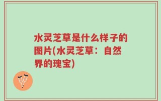 水灵芝草是什么样子的图片(水灵芝草：自然界的瑰宝)
