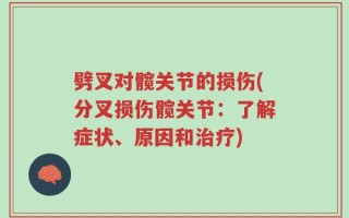 劈叉对髋关节的损伤(分叉损伤髋关节：了解症状、原因和治疗)
