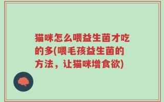 猫咪怎么喂益生菌才吃的多(喂毛孩益生菌的方法，让猫咪增食欲)