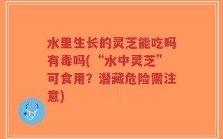 水里生长的灵芝能吃吗有毒吗(“水中灵芝”可食用？潜藏危险需注意)