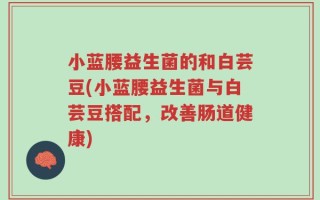 小蓝腰益生菌的和白芸豆(小蓝腰益生菌与白芸豆搭配，改善肠道健康)