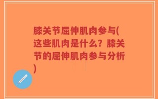 膝关节屈伸肌肉参与(这些肌肉是什么？膝关节的屈伸肌肉参与分析)