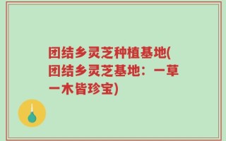 团结乡灵芝种植基地(团结乡灵芝基地：一草一木皆珍宝)