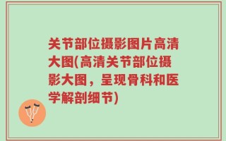 关节部位摄影图片高清大图(高清关节部位摄影大图，呈现骨科和医学解剖细节)