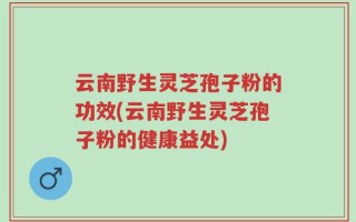 云南野生灵芝孢子粉的功效(云南野生灵芝孢子粉的健康益处)