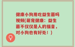 健康小狗用吃益生菌吗视频(萌宠健康：益生菌不仅仅是人的福音，对小狗也有好处！)