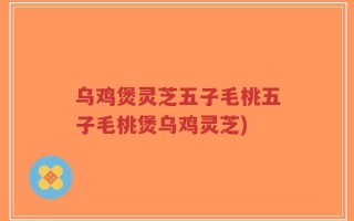 乌鸡煲灵芝五子毛桃五子毛桃煲乌鸡灵芝)
