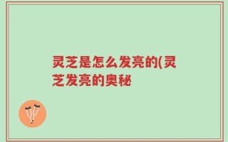 灵芝是怎么发亮的(灵芝发亮的奥秘