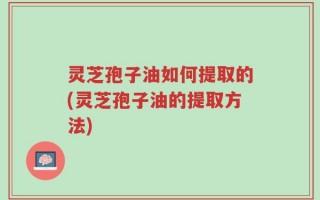 灵芝孢子油如何提取的(灵芝孢子油的提取方法)
