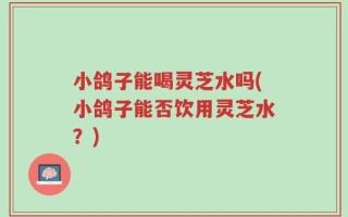 小鸽子能喝灵芝水吗(小鸽子能否饮用灵芝水？)