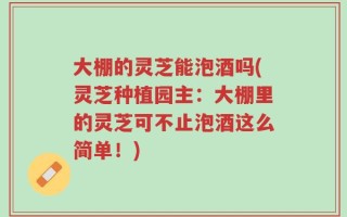 大棚的灵芝能泡酒吗(灵芝种植园主：大棚里的灵芝可不止泡酒这么简单！)