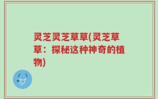 灵芝灵芝草草(灵芝草草：探秘这种神奇的植物)