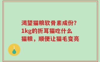 渴望猫粮软骨素成份？1kg的折耳猫吃什么猫粮，顺便让猫毛变亮