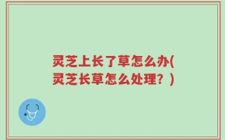 灵芝上长了草怎么办(灵芝长草怎么处理？)