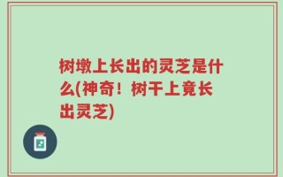 树墩上长出的灵芝是什么(神奇！树干上竟长出灵芝)