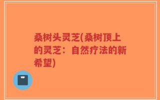 桑树头灵芝(桑树顶上的灵芝：自然疗法的新希望)