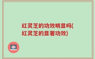 红灵芝的功效明显吗(红灵芝的显著功效)