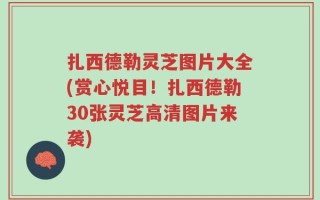 扎西德勒灵芝图片大全(赏心悦目！扎西德勒30张灵芝高清图片来袭)