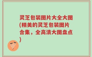 灵芝包装图片大全大图(精美的灵芝包装图片合集，全高清大图盘点)