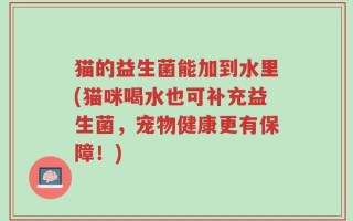 猫的益生菌能加到水里(猫咪喝水也可补充益生菌，宠物健康更有保障！)