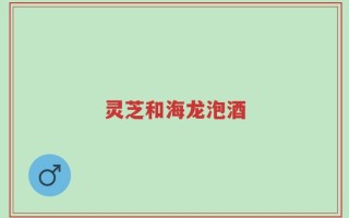 灵芝和海龙泡酒
