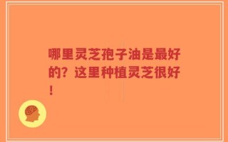 哪里灵芝孢子油是最好的？这里种植灵芝很好！