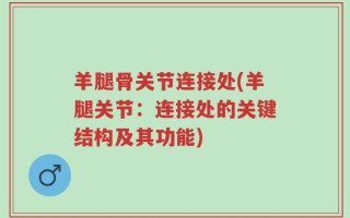 羊腿骨关节连接处(羊腿关节：连接处的关键结构及其功能)