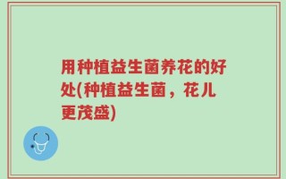 用种植益生菌养花的好处(种植益生菌，花儿更茂盛)