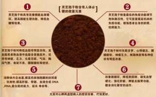 破壁灵芝孢子粉的作用和功效有哪些,你知道这一点吗！
