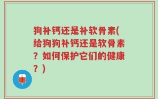 狗补钙还是补软骨素(给狗狗补钙还是软骨素？如何保护它们的健康？)