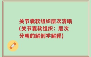 关节囊软组织层次清晰(关节囊软组织：层次分明的解剖学解释)
