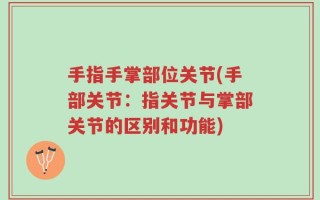 手指手掌部位关节(手部关节：指关节与掌部关节的区别和功能)