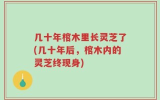 几十年棺木里长灵芝了(几十年后，棺木内的灵芝终现身)