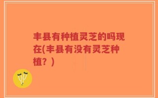 丰县有种植灵芝的吗现在(丰县有没有灵芝种植？)