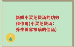 新鲜小灵芝煲汤的功效和作用(小灵芝煲汤：养生美容祛病的佳品)