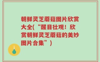 朝鲜灵芝蘑菇图片欣赏大全(“醒目壮观！欣赏朝鲜灵芝蘑菇的美妙图片合集”)