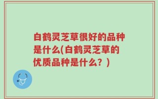 白鹤灵芝草很好的品种是什么(白鹤灵芝草的优质品种是什么？)