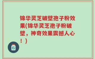 锦华灵芝破壁孢子粉效果(锦华灵芝孢子粉破壁，神奇效果震撼人心！)
