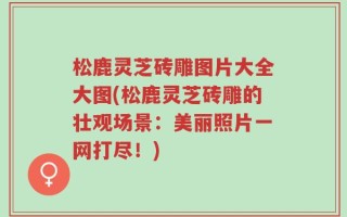 松鹿灵芝砖雕图片大全大图(松鹿灵芝砖雕的壮观场景：美丽照片一网打尽！)