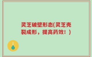 灵芝破壁形态(灵芝壳裂成形，提高药效！)