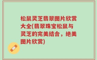 松鼠灵芝翡翠图片欣赏大全(翡翠珠宝松鼠与灵芝的完美结合，绝美图片欣赏)