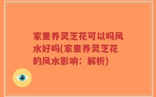 家里养灵芝花可以吗风水好吗(家里养灵芝花的风水影响：解析)