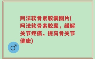 阿法软骨素胶囊图片(阿法软骨素胶囊，缓解关节疼痛，提高骨关节健康)