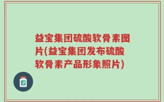 益宝集团硫酸软骨素图片(益宝集团发布硫酸软骨素产品形象照片)