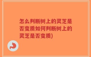 怎么判断树上的灵芝是否变质如何判断树上的灵芝是否变质)
