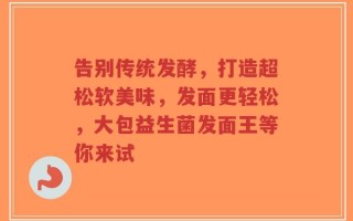告别传统发酵，打造超松软美味，发面更轻松，大包益生菌发面王等你来试