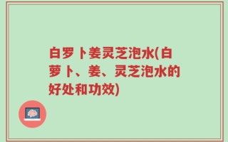 白罗卜姜灵芝泡水(白萝卜、姜、灵芝泡水的好处和功效)