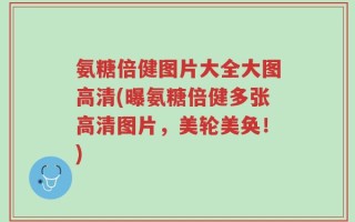 氨糖倍健图片大全大图高清(曝氨糖倍健多张高清图片，美轮美奂！)