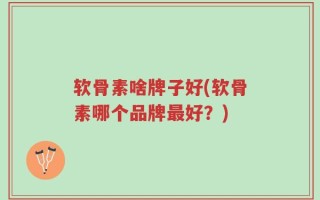 软骨素啥牌子好(软骨素哪个品牌最好？)