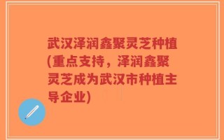 武汉泽润鑫聚灵芝种植(重点支持，泽润鑫聚灵芝成为武汉市种植主导企业)